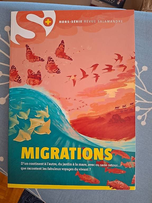 Diverses revues "la Salamandre"