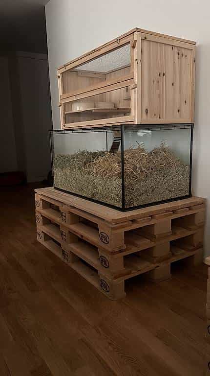 Terrarium ohne Aufsatz für Nager, kostenlos