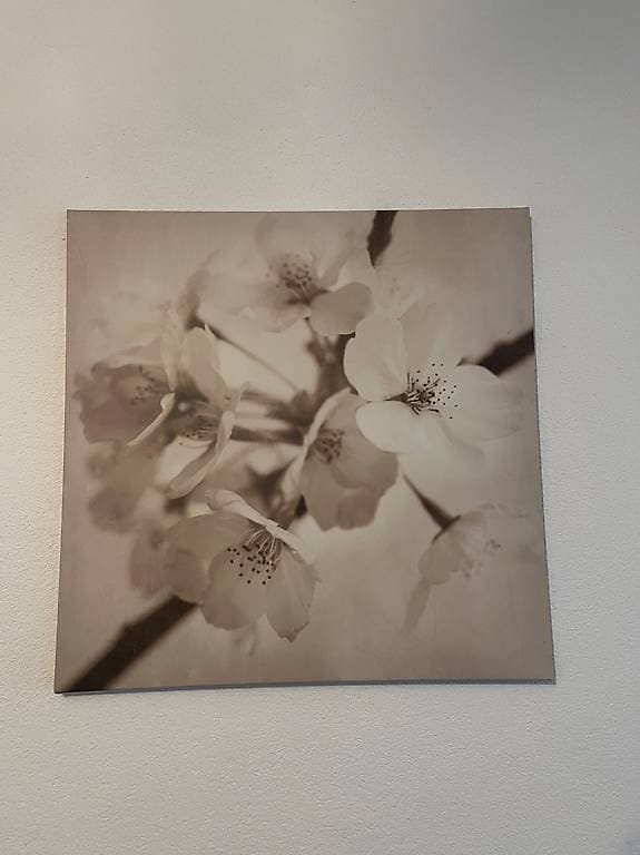 3 IKEA Bilder
