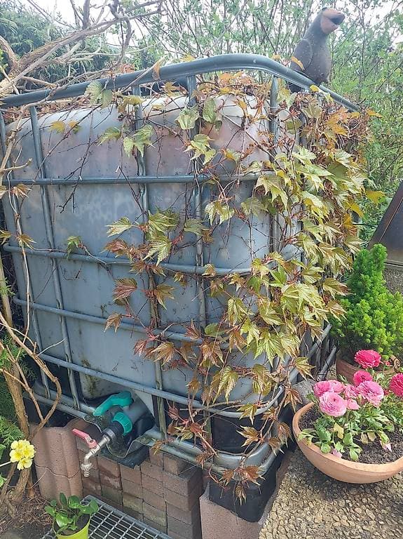 Regenwassertank mit Zubehör