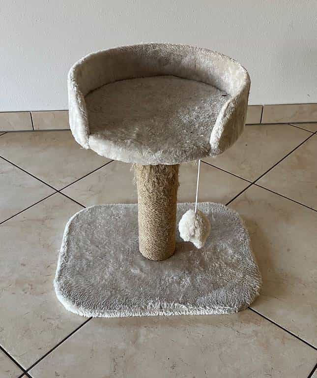 Arbre à chat - à donner