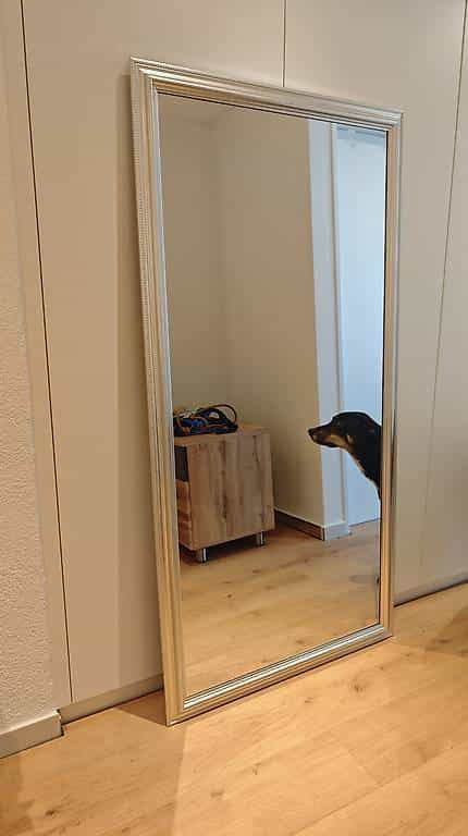Grosser Spiegel 160 x 80 cm