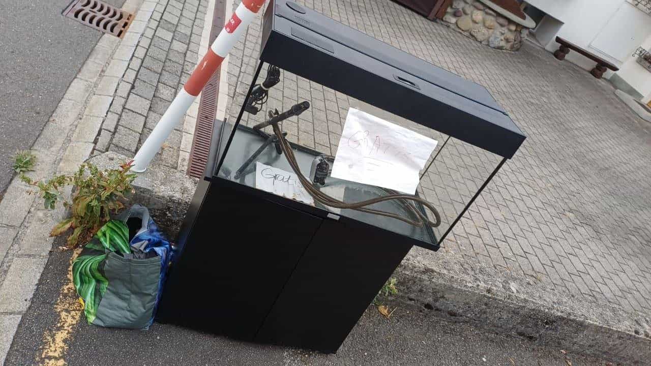 Aquarium zu verschenken