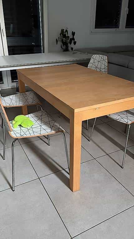 Table de salle à manger extensible (sans les chaises)