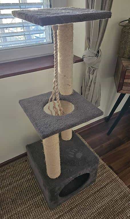 Katzenbaum