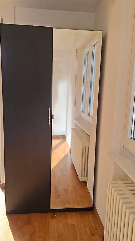 Penderie IKEA PAX noire 100x200cm avec miroir