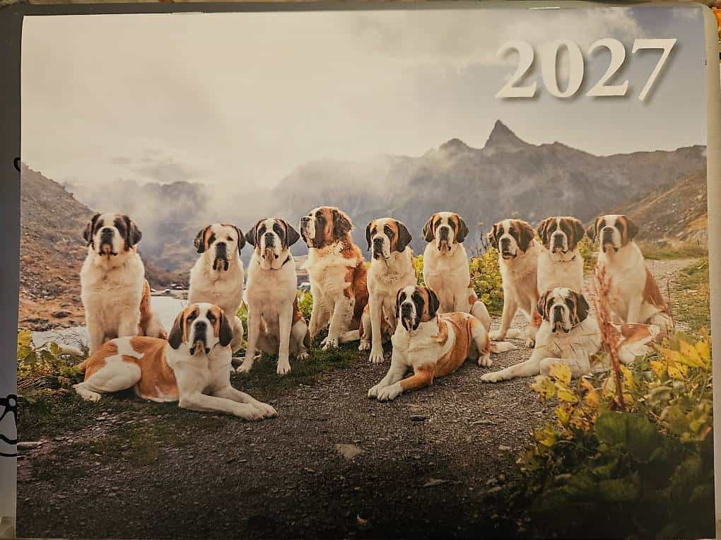 REGALO CALENDARIO 2027