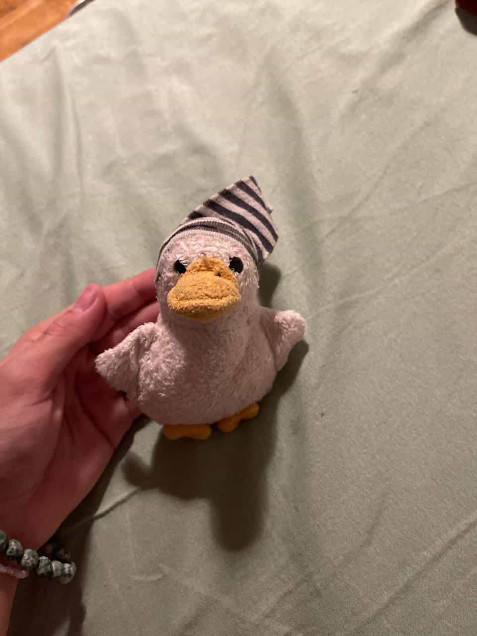 Kleine Enten Rasselspielzeug