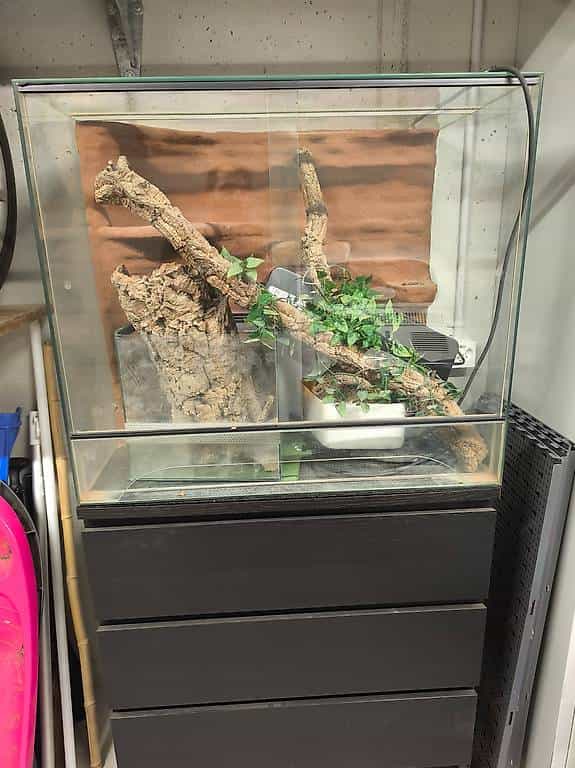 Terrarium gratis