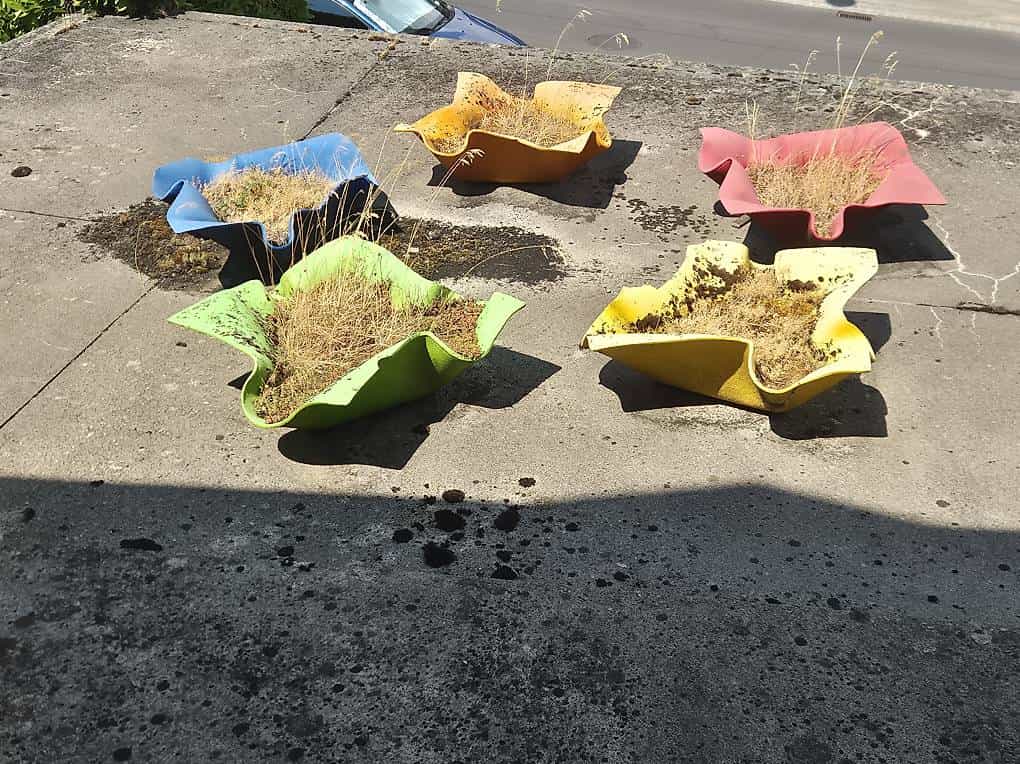 Pot de fleur design