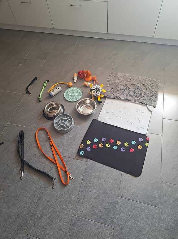 Divers accessoires pour chiens