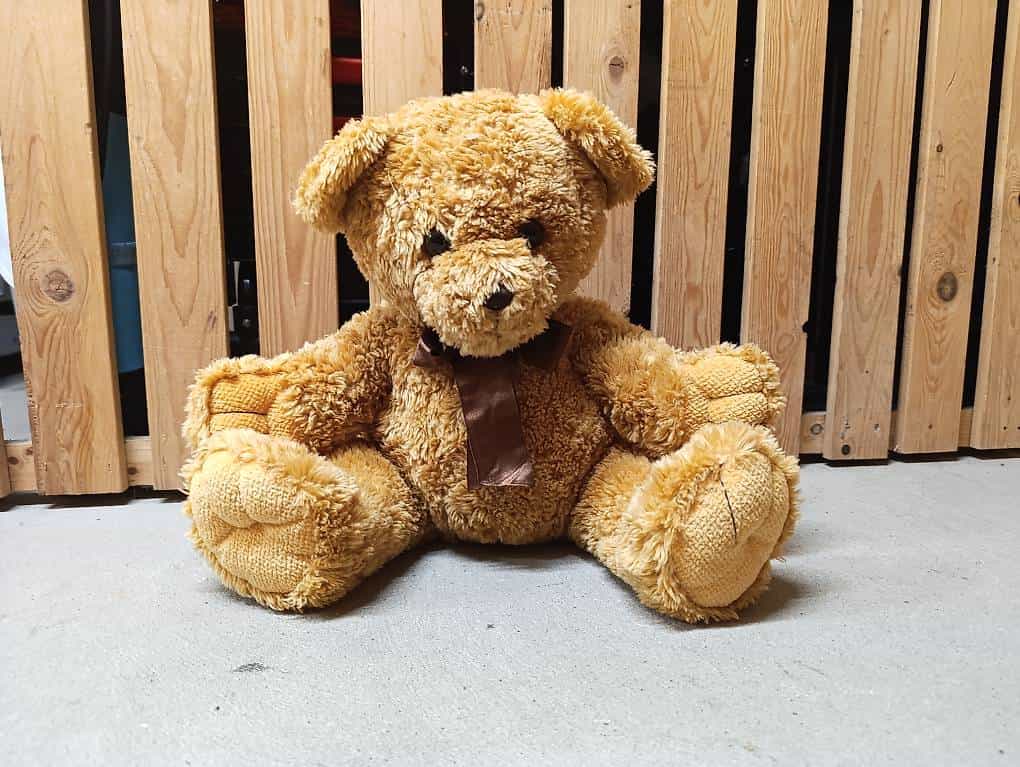 Teddy