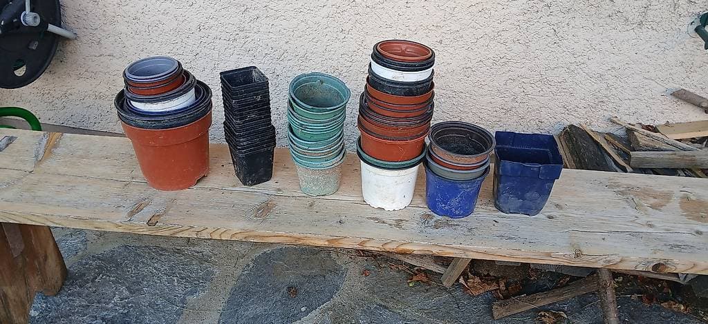 Pot pour semis