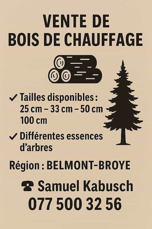 Bois de feu/chauffage