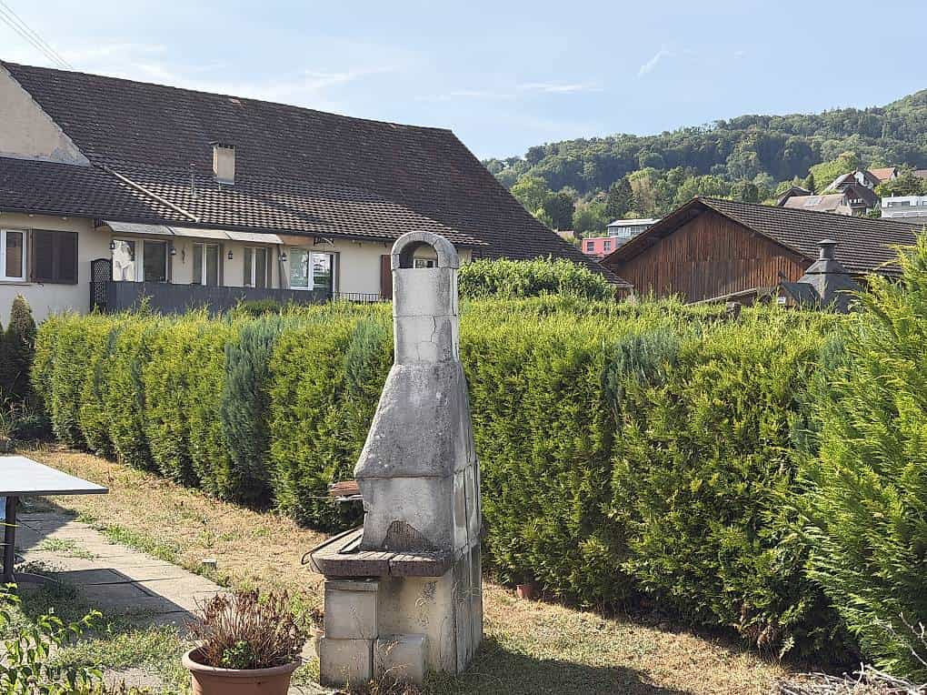 Diverse Bäume und Pflanzen zum mitnehmen