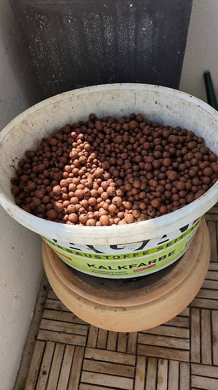 Eimer voll Blähtonkügelchen. Gratis abholen in Sursee.