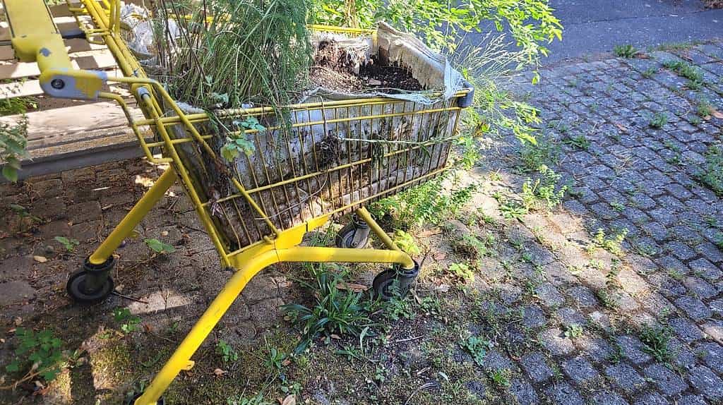 Einkaufswagen zum Bepflanzen