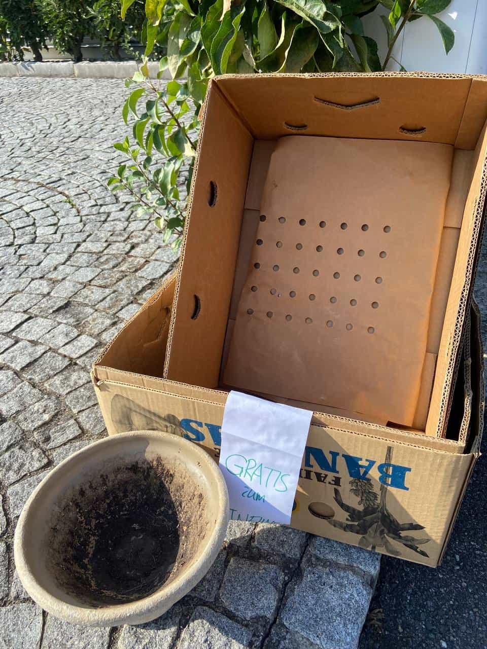 Gratis Pflanzenzubehör und Blumentopf