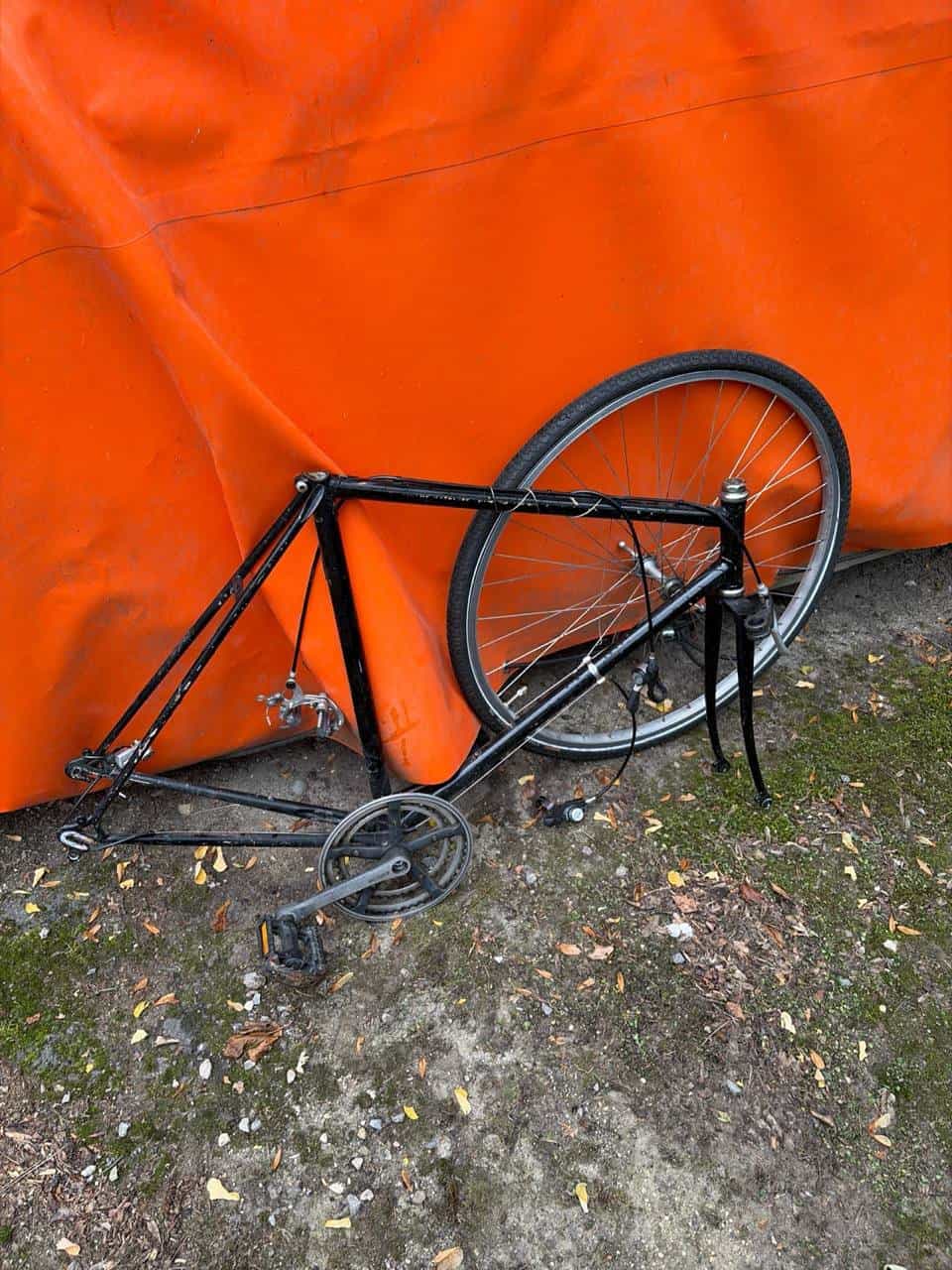 Rennvelo Bastel-Projekt