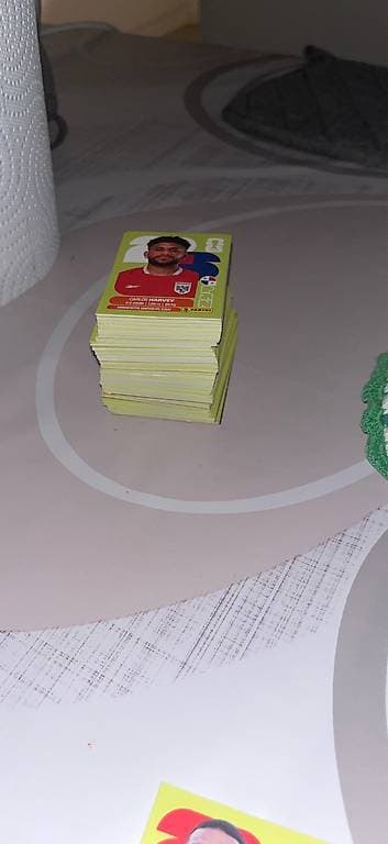 Panini vente
