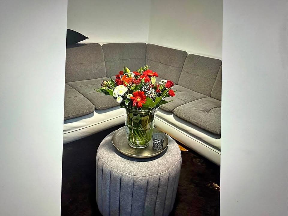 Sofa und Sofabett Gratis abzugeben
