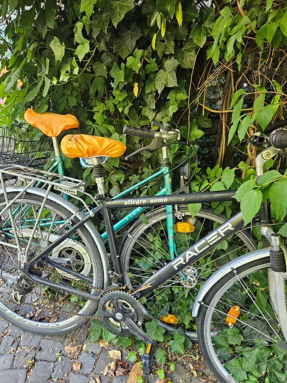 Zwei Velos / Fahrräder