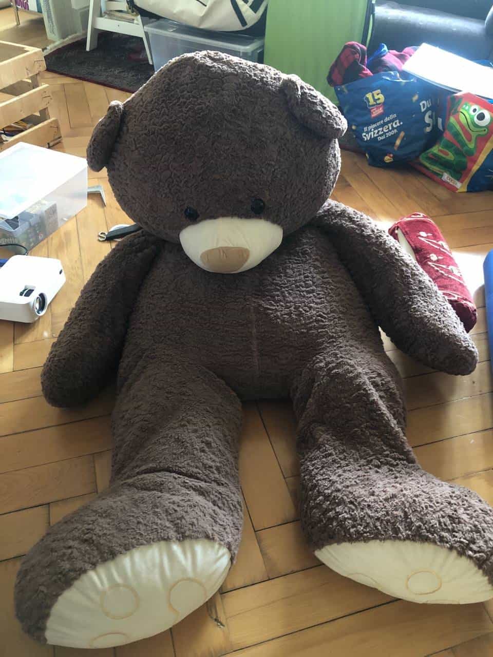 Grosser Teddy zu verschenken