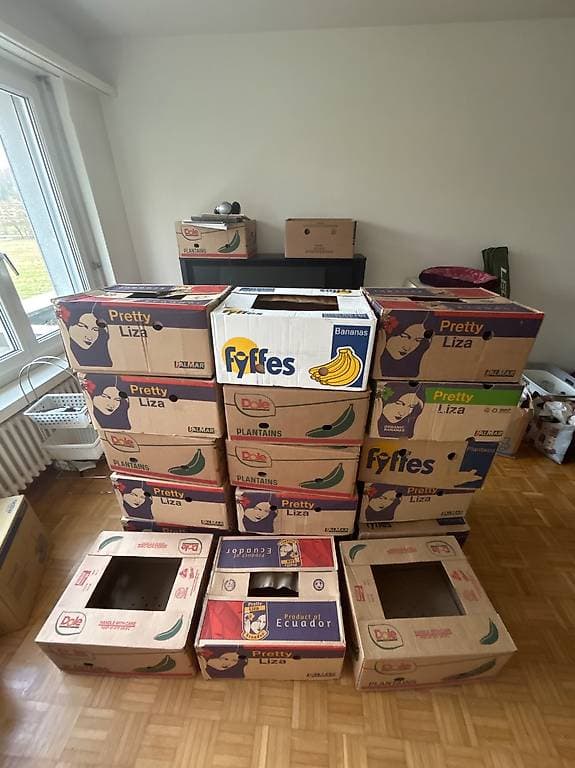 Bananenboxen fürs Zügeln zu verschenken