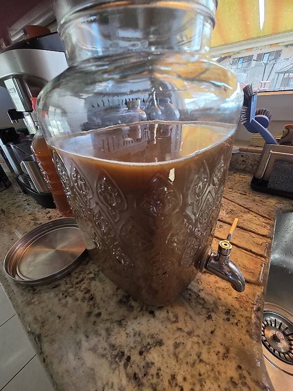 Kombucha à donner.