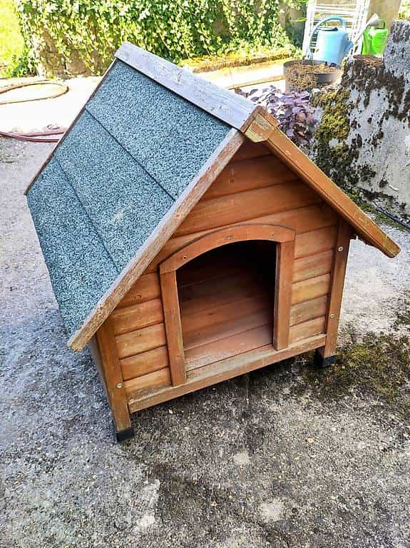Niche de chien