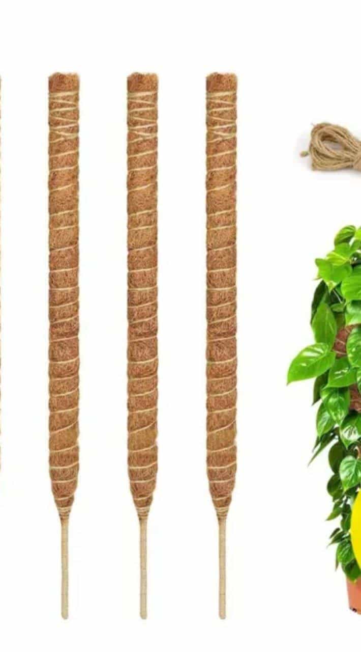Gartenzubehör und Dekoration