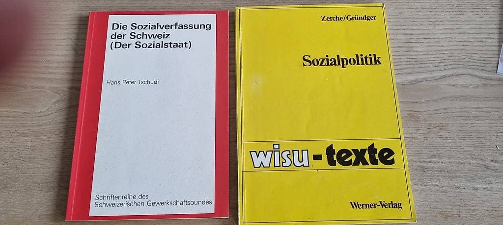 Sozialpolitik - Sozialverfassung der Schweiz (Sozialstaat)