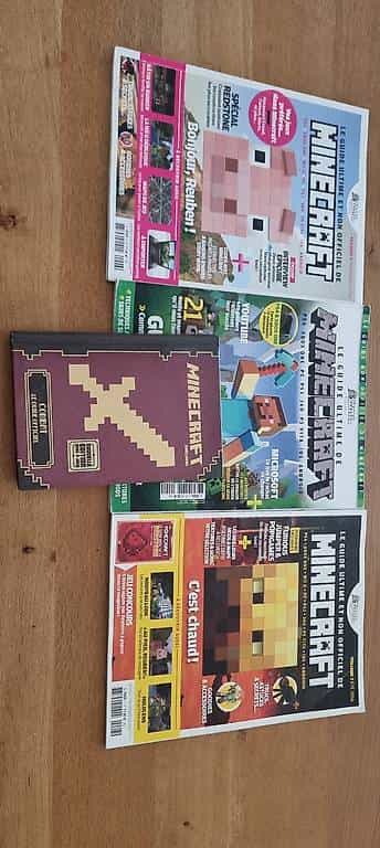Livres de Minecraft
