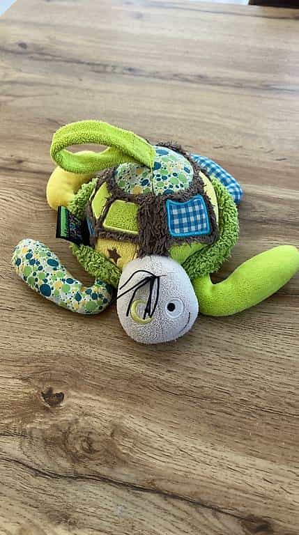 Lulu la tortue musicale Funky Garden
