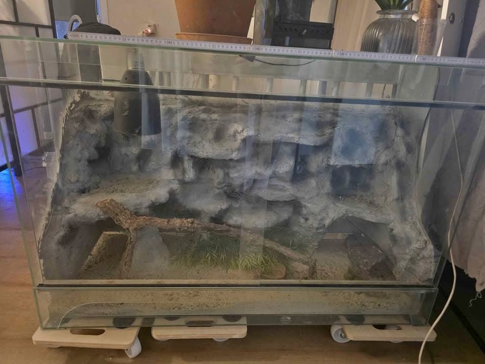 Terrarium gratis zum abholen