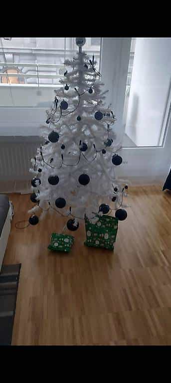 Tannenbaum / weihnachtsbaum