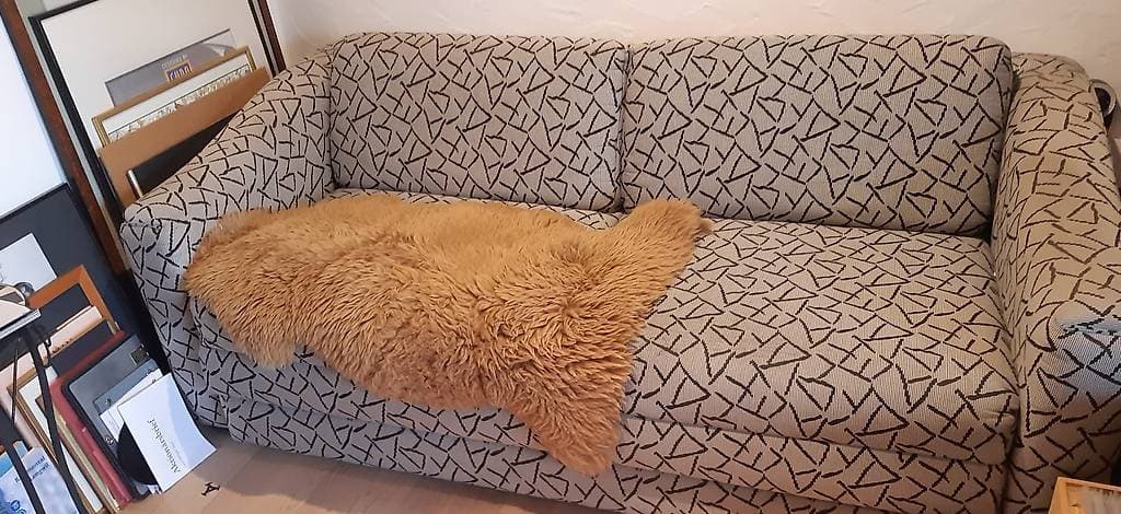 Bettsofa gebraucht