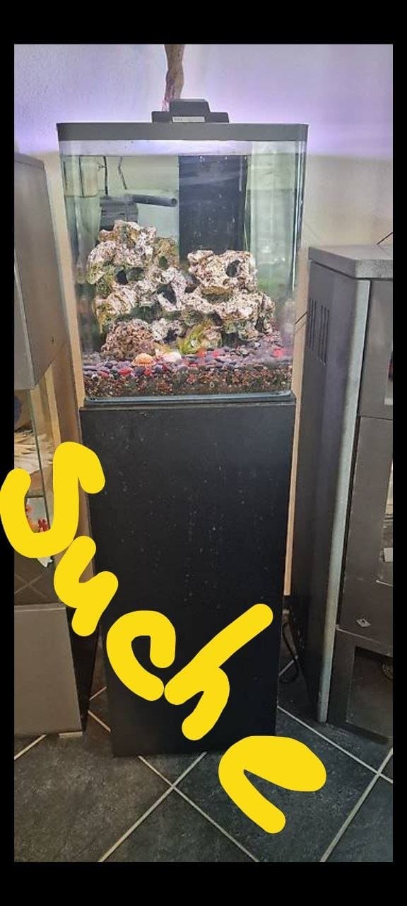 Aquarium zu verschenken