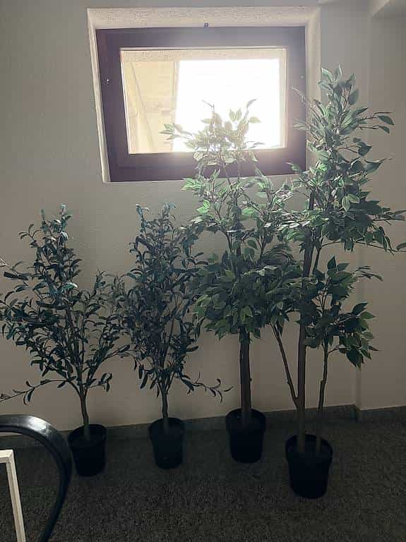 Piante artificiali