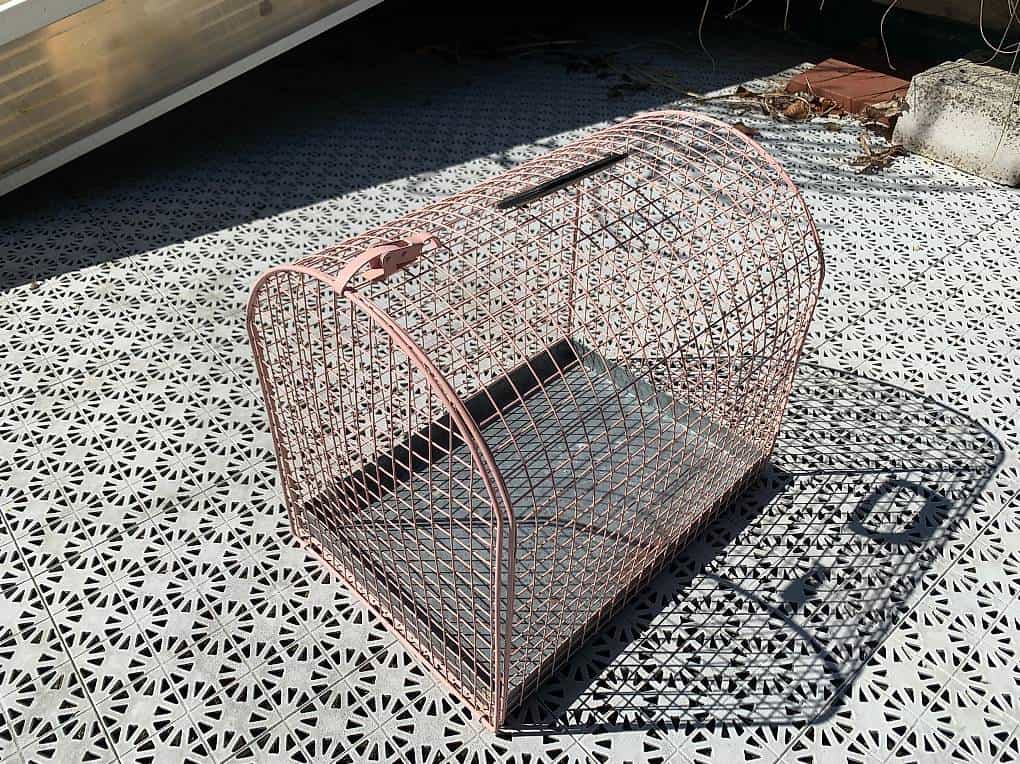 Rose Reisebox für den Transport einer Katze
