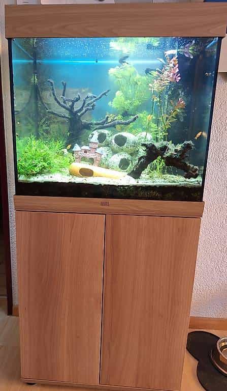 Aquarium 120L complet à donner