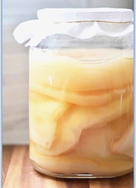 Regalo scoby per fare la Kombucha
