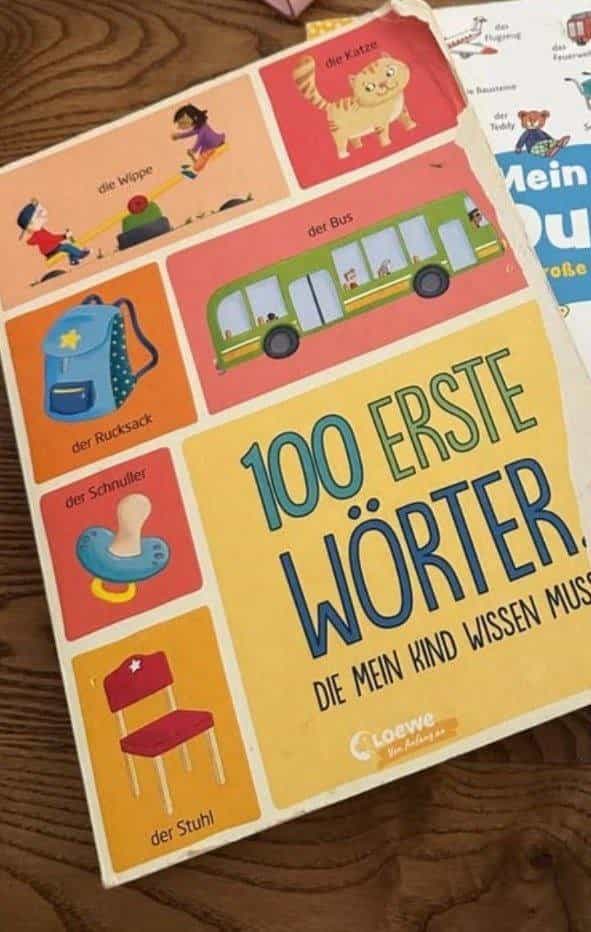 Kinderbuch - 100 erste Wörter