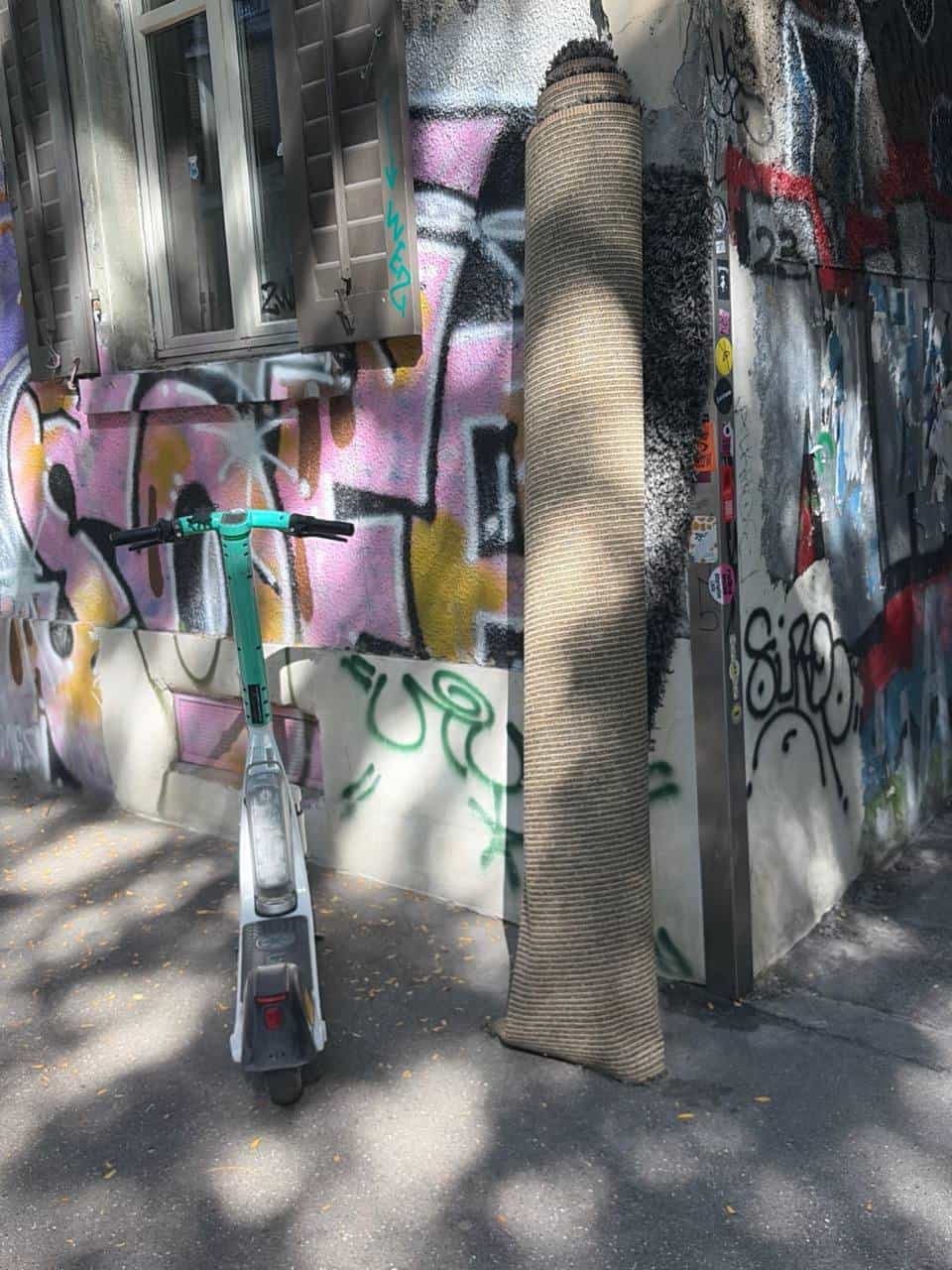 Roller und Teppich